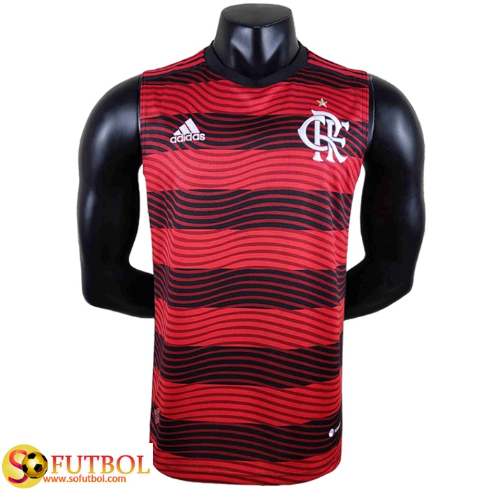 Hospitalidad Superior juguete Replicas De Camisetas De Futbol Flamengo Gilet 2022/2023 Baratas